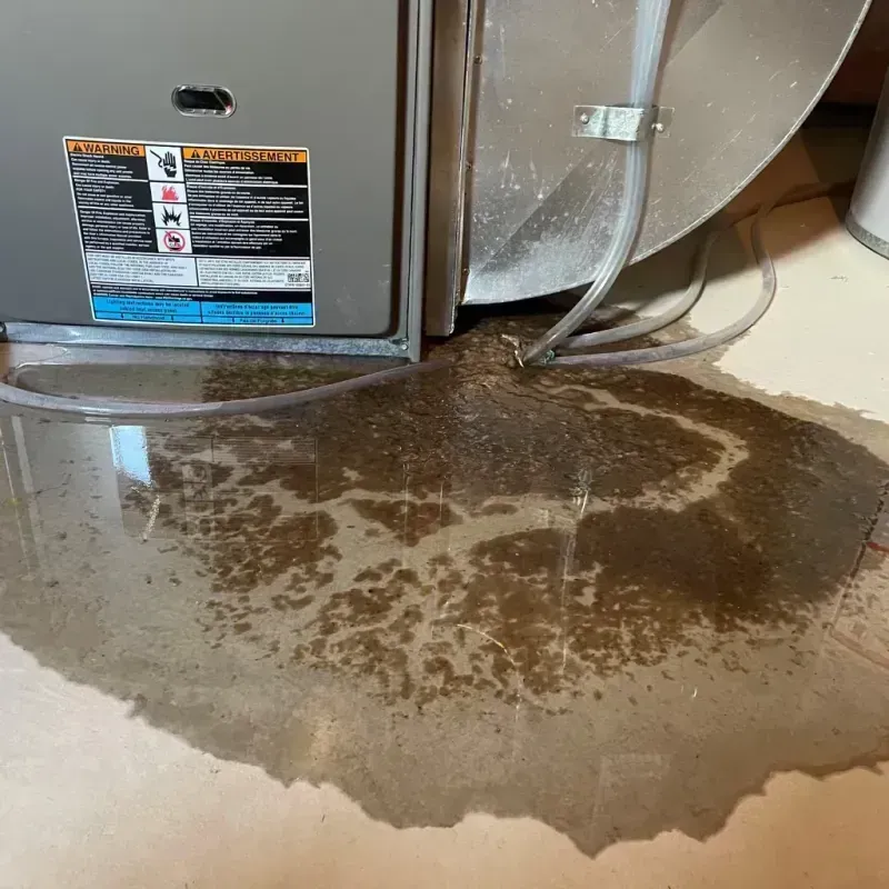 Appliance Leak Cleanup in Arbuckle, CA